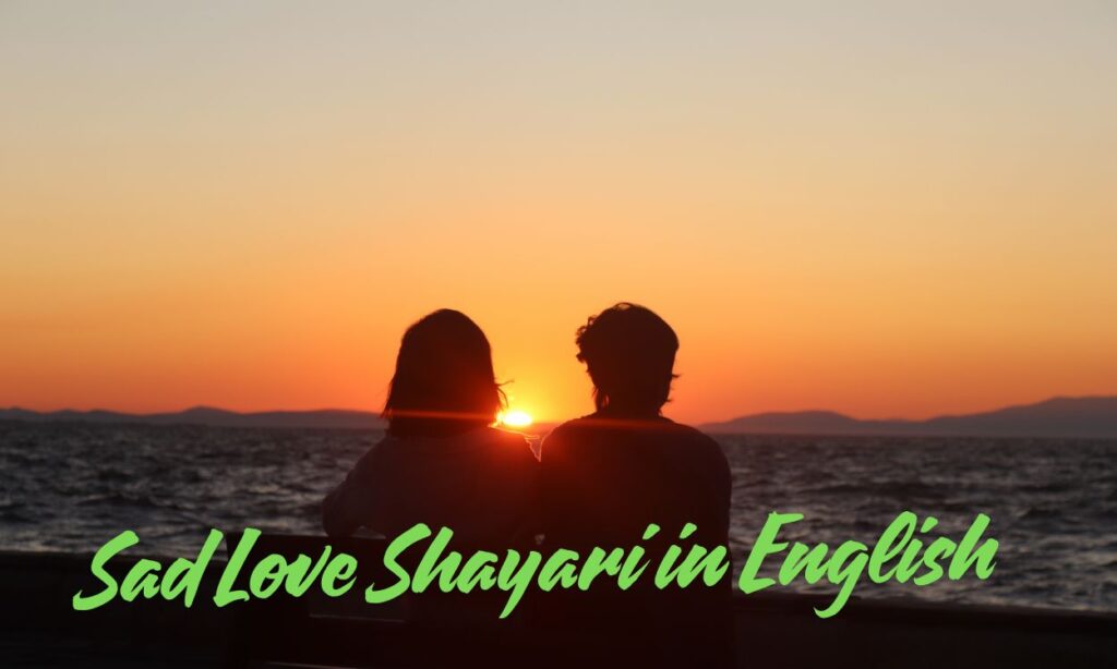 Sad Love Shayari in English