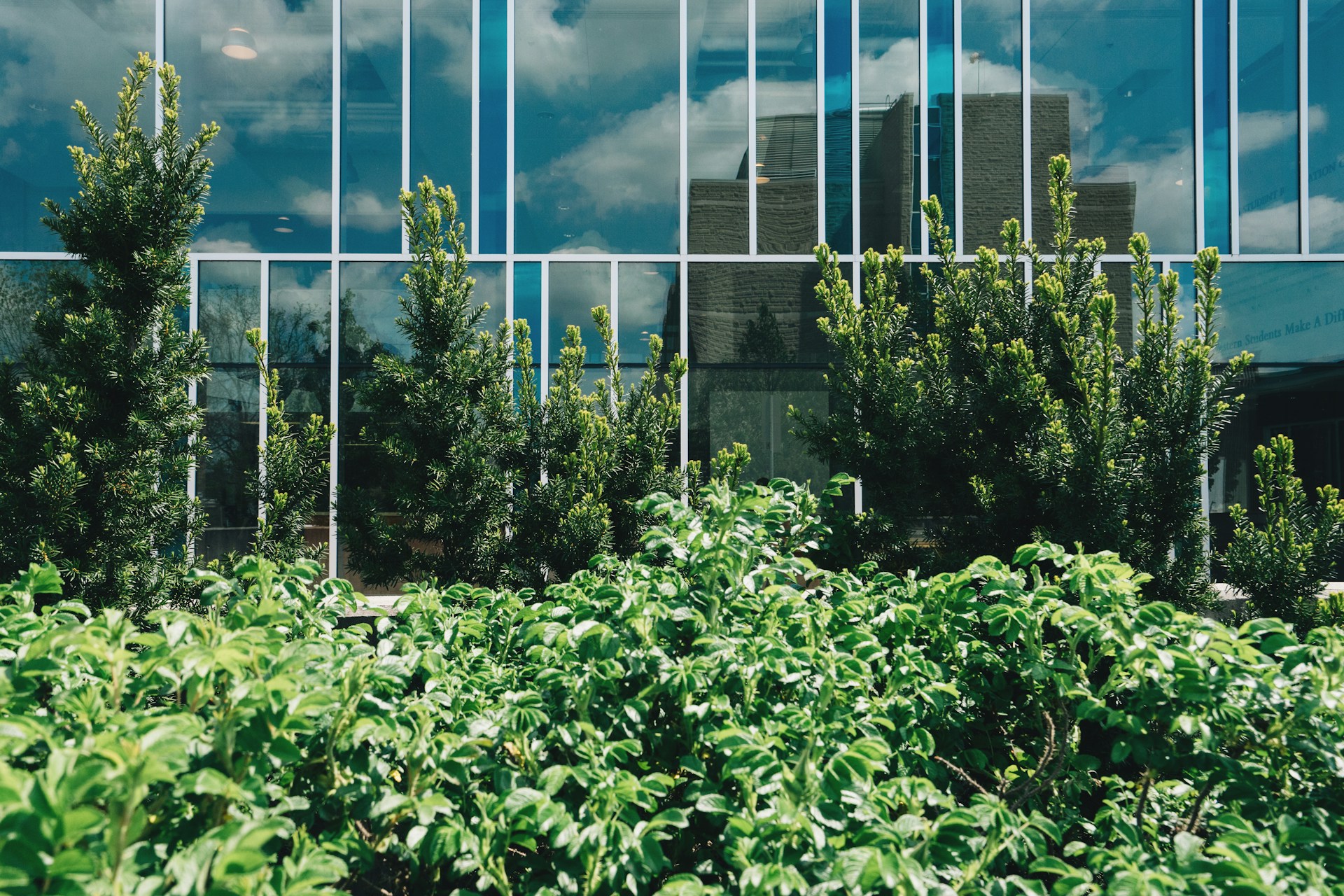 Sustainable Landscaping Practices for Modern Businesses