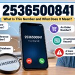 Wondering what 2536500841 means